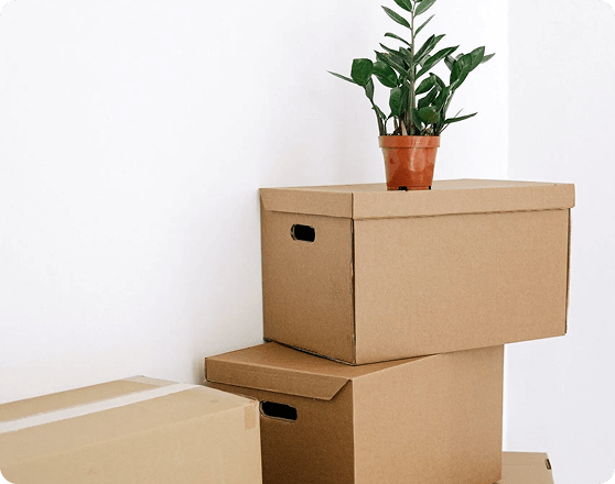 comprehensive move-in/move-out cleaning in san antonio, tx