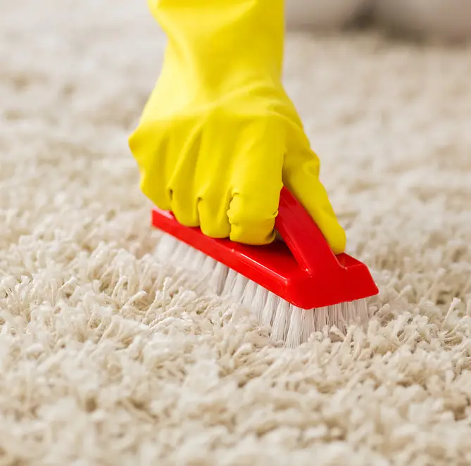 professional carpet cleaning service near me