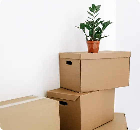 flexible move in cleaning service in san antonio