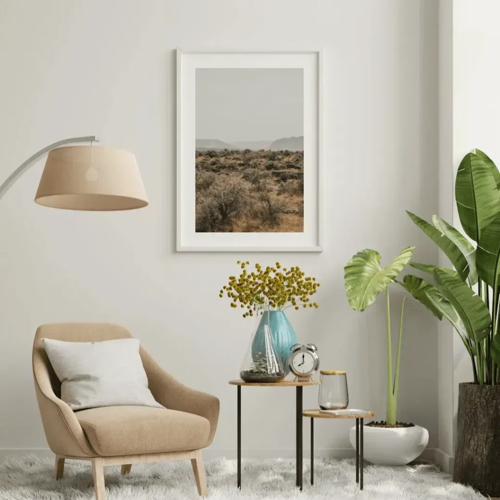 professional cleaning services near me in san antonio
