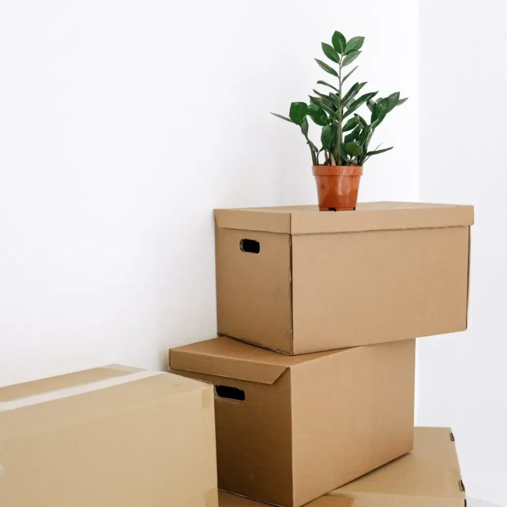 Move hassle-free with us