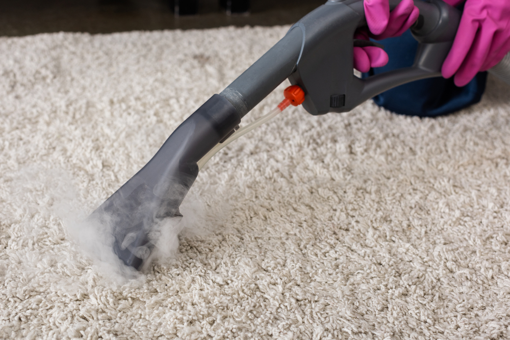 Dry Carpet Cleaning vs. Steam Cleaning