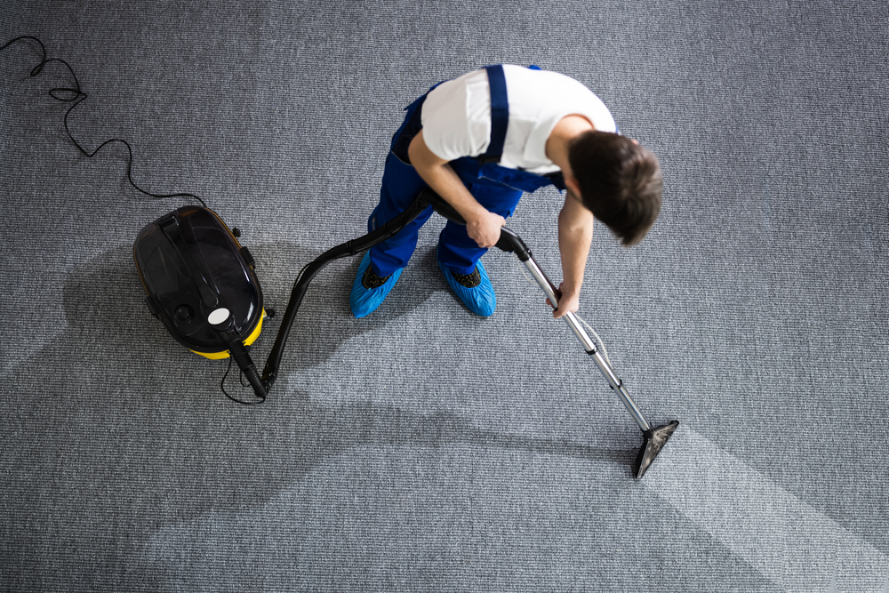 How often should I get carpet professionally cleaned