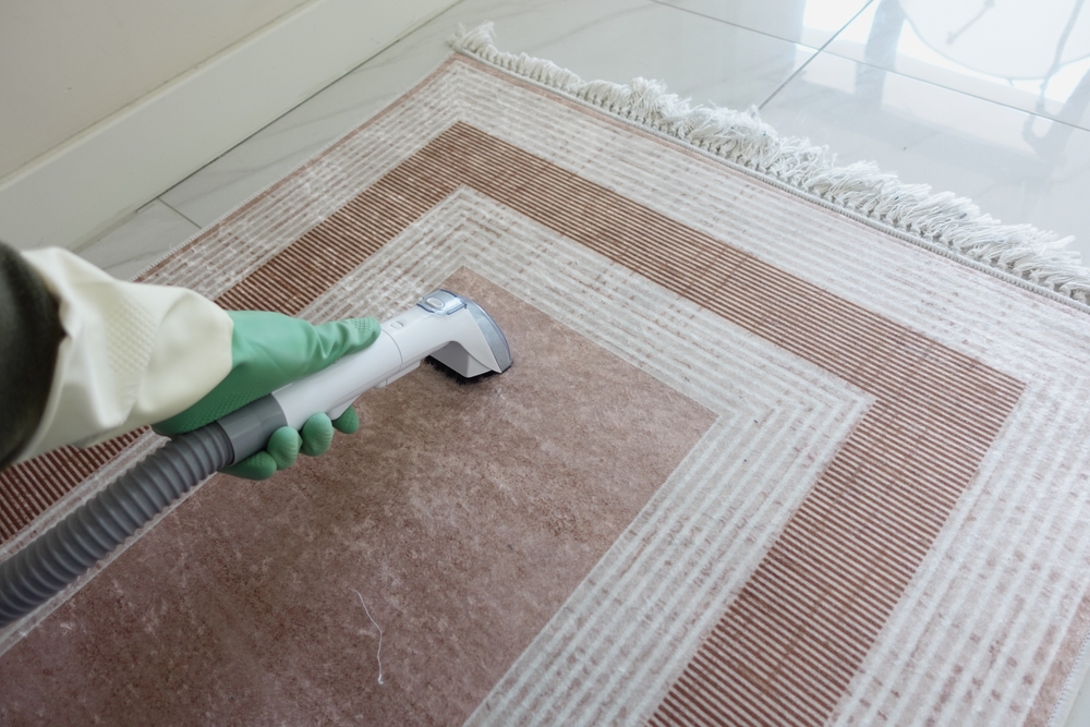 thorough carpet cleaning in San Antonio, TX