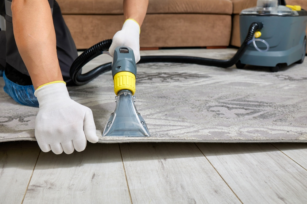 Does professional carpet cleaning help with allergies?