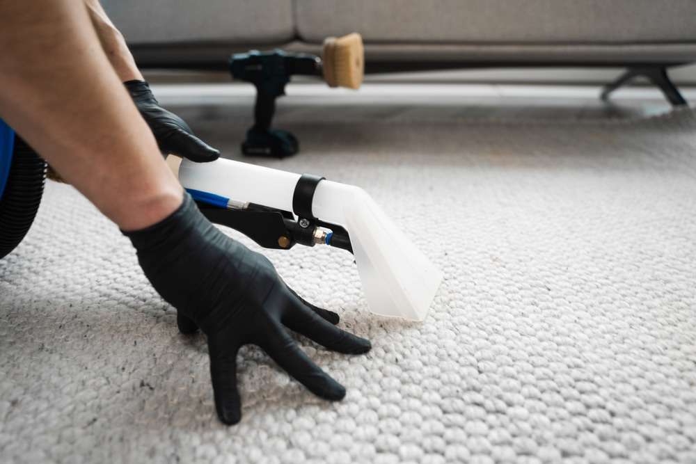What Makes Dry Carpet Cleaning More Eco-Friendly?