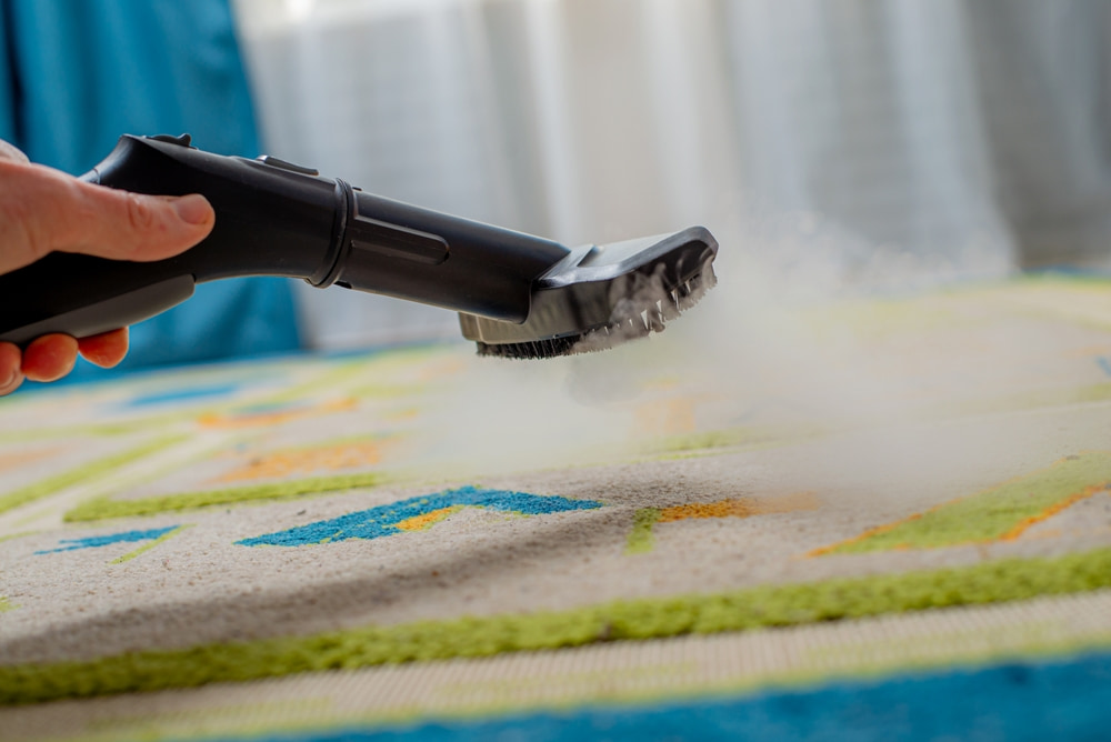 Where in San Antonio, TX, can I schedule detailed carpet cleaning services?