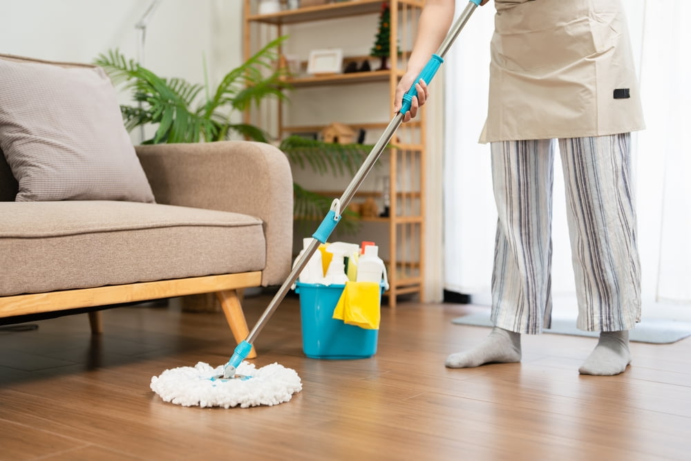 What to Expect With First Visit by Cleaning Services in Olmos Park